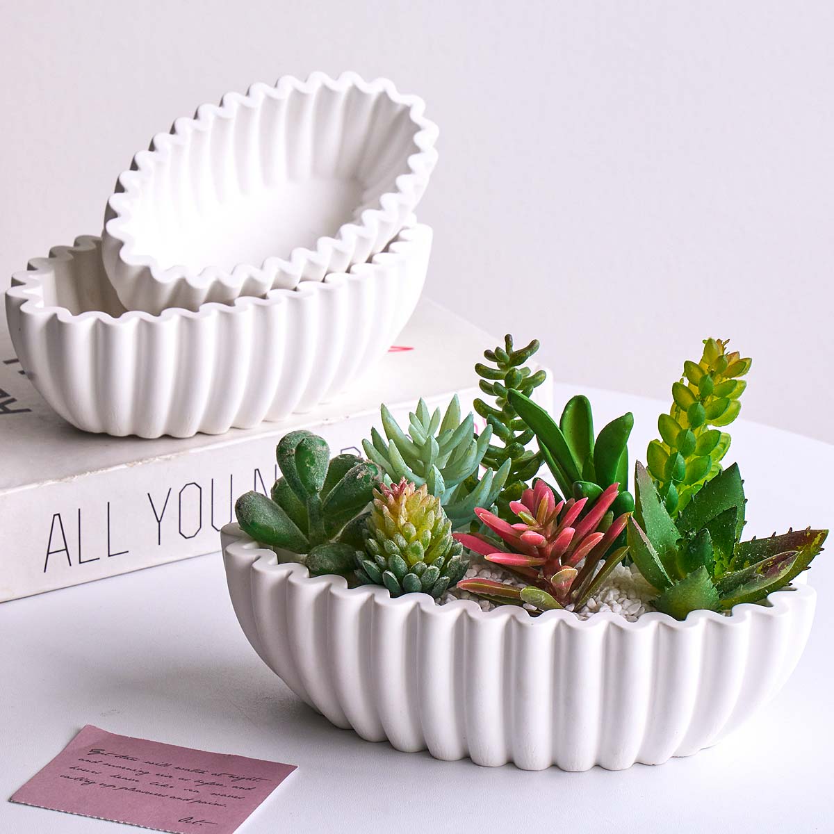 S/M/L Ovale Gestreepte Opbergk - Potsticker Mold recensie en prijs